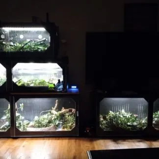 Review #185323, image #3