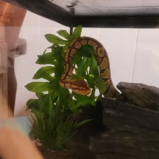 Review #184840, image #1