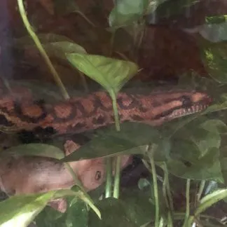 Review #186458, image #1