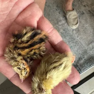 Review #186060, image #3