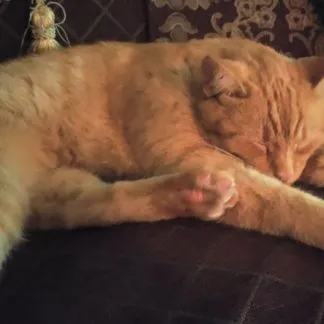 Review #186462, image #1