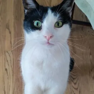 Review #186462, image #3