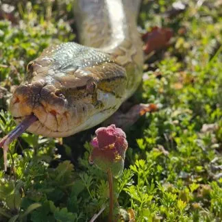 Review #186440, image #2