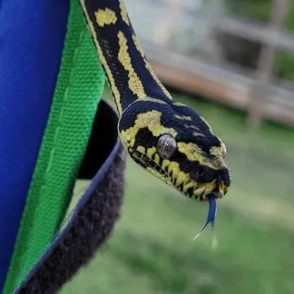 Review #186440, image #3