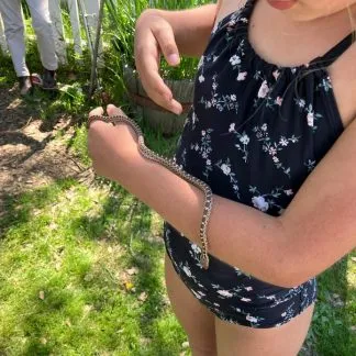 Review #187443, image #1