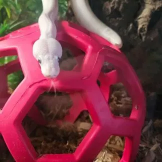 Review #187553, image #1