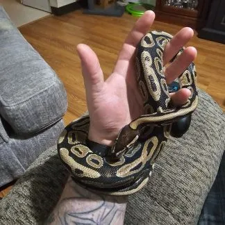 Review #187553, image #3