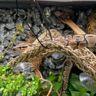 Review #186990, image #2