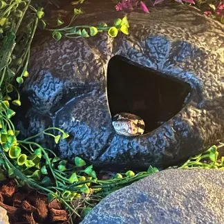 Review #187789, image #1