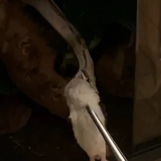 Review #188219, image #1