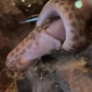 Review #188219, image #4