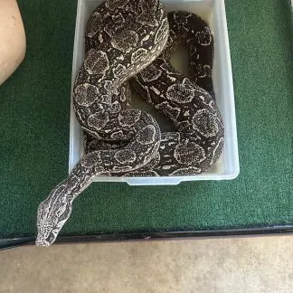 Review #189422, image #1