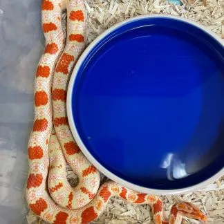 Review #189422, image #3