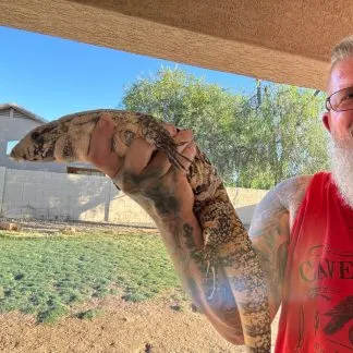 Review #189196, image #1