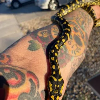 Review #189196, image #2