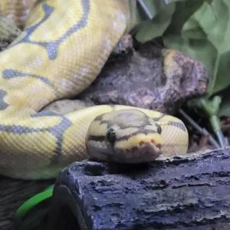 Review #189227, image #1