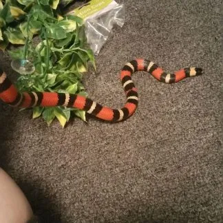 Review #189227, image #2