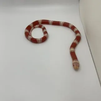 Review #190382, image #1