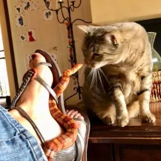 Review #189885, image #1