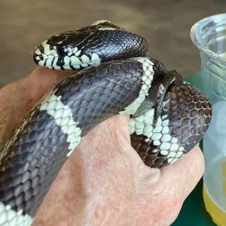 Review #190844, image #1