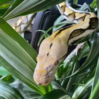 Review #190776, image #1