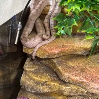 Review #190834, image #1