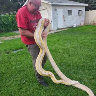 Review #192891, image #4