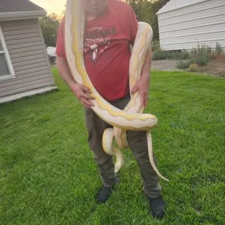 Review #192891, image #2