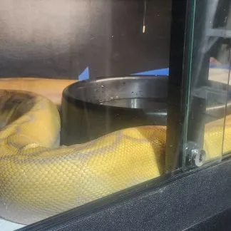 Review #192450, image #3