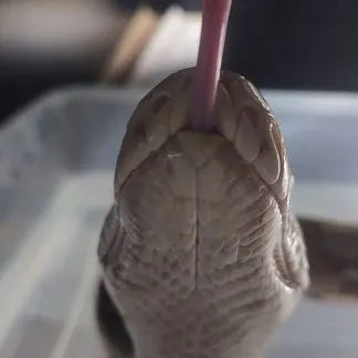 Review #192450, image #1