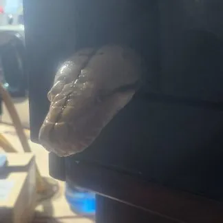 Review #192450, image #2