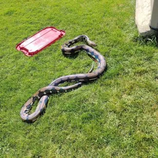 Review #192891, image #3