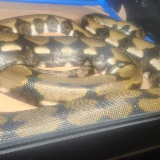 Review #192891, image #1