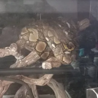 Review #192874, image #2