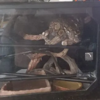 Review #192874, image #1