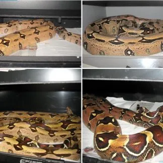 Review #192648, image #1