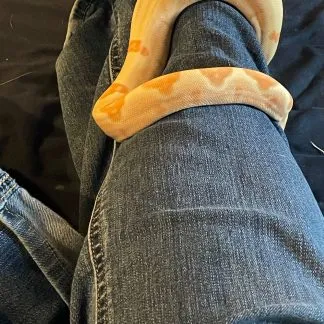 Review #192722, image #1