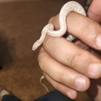 Review #193556, image #1