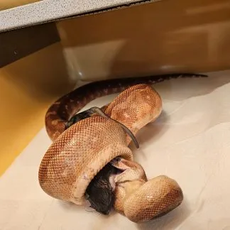 Review #192908, image #5