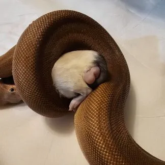 Review #192908, image #1