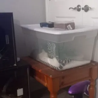 Review #193272, image #2