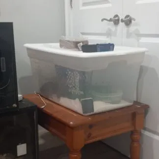 Review #193272, image #1