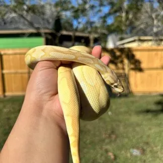 Review #193782, image #1