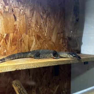 Review #193517, image #1