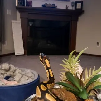 Review #193744, image #1