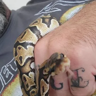 Review #194867, image #1