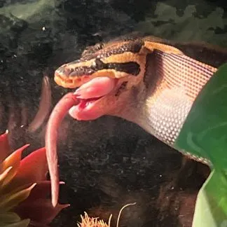 Review #194301, image #2