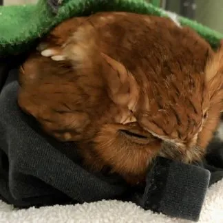 Review #194870, image #1