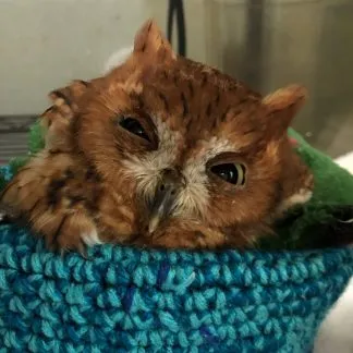 Review #194870, image #2