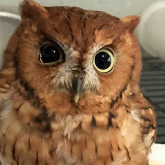 Review #194870, image #3